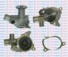 AQUAPLUS 85-1650 Water Pump